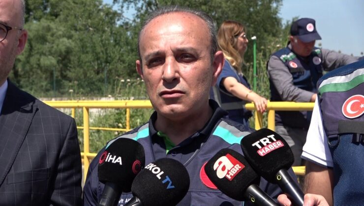 Marmara denizi için alarm zilleri çalıyor!