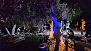 Olay dün gece saat 24.00 sıralarında Bursa’nın Orhangazi ilçesine bağlı