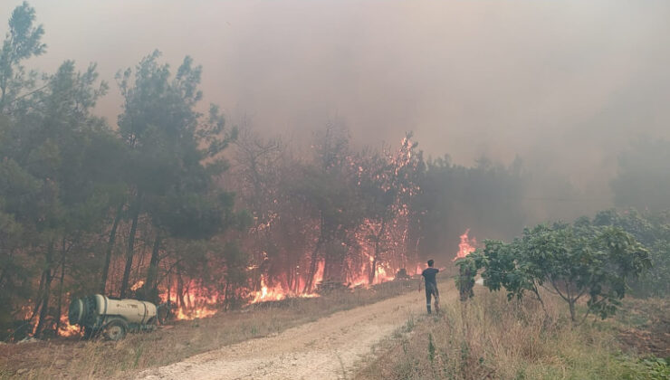 Bursa, orman yangınlarına karşı teyakkuza geçti