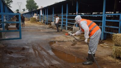 Yıldırım Belediyesi, Vatandaşların kurban ibadetlerini dini vecibelere uygun bir şekilde