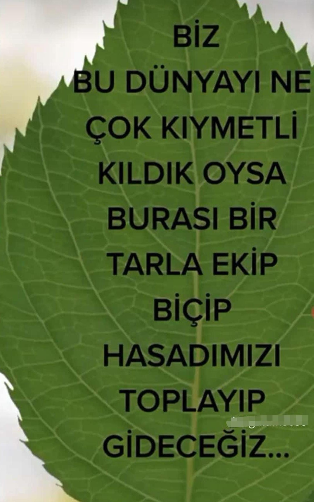i̇negöl'de öldürülen kadının paylaşımı yürek burktu 1 Bursam Medya -