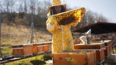Bursa'nın İznik ilçesine bağlı Derbent Köyü'nden çıkan başarı öyküsü, uluslararası