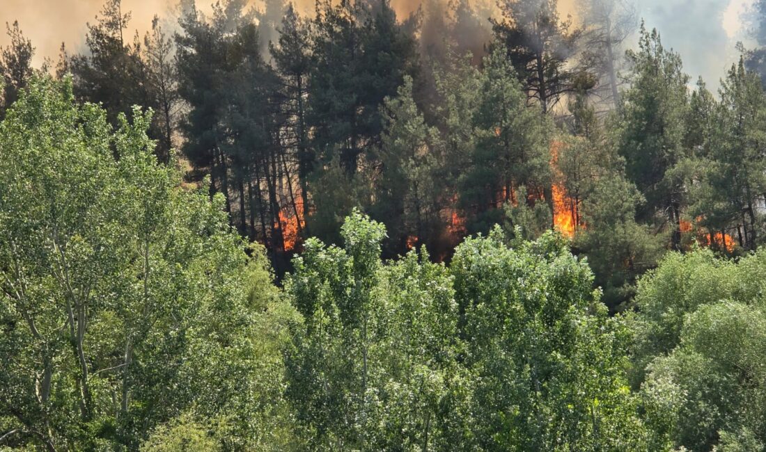 Bursa’nın Orhaneli ilçesinde ormanlık alanda yangın çıktı. İtfaiye ve Orman