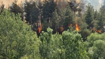 Bursa’nın Orhaneli ilçesinde ormanlık alanda yangın çıktı. İtfaiye ve Orman
