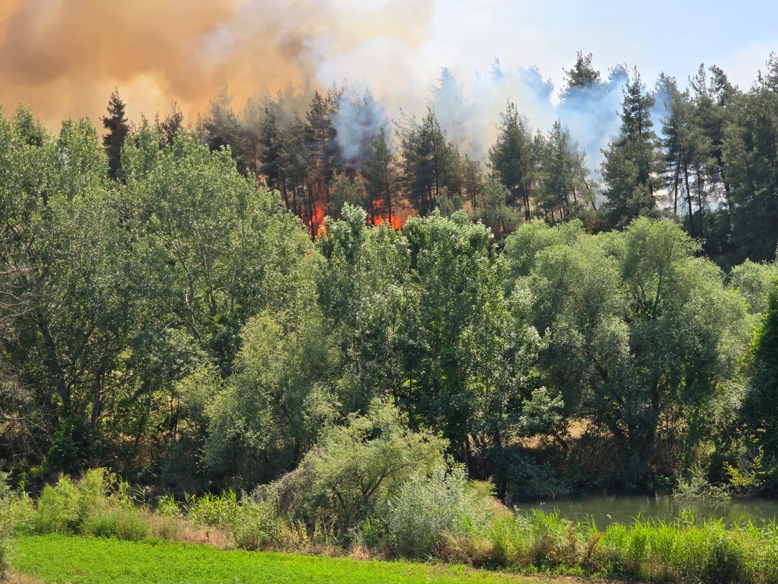 Bursam Medya -