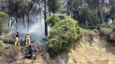 Bursa'nın Gemlik ilçesinde ki bir bölgesindeki çamlık alanda yangın çıktı.