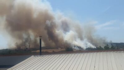 Bursa’nın Nilüfer ilçesindeki ormanlık alandan alevler yükselmeye başladı.
