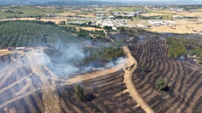 Bursa'nın Nilüfer ilçesinde ekili tarım arazilerinde çıkan yangın kontrol altına