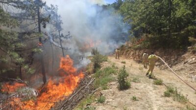 Bursa'nın Mustafakemalpaşa ilçesinde ormanlık alanda yangın çıktı.
