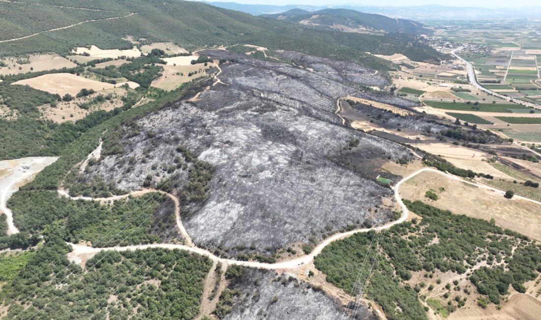 Bursa Valiliği, 8 Temmuz-15 Ekim tarihleri arasında il sınırları içerisindeki