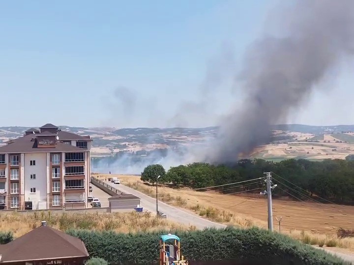 Bursa’nın İnegöl ilçesinde çıkan anız yangınları korkulu anlar yaşattı. Konutlara