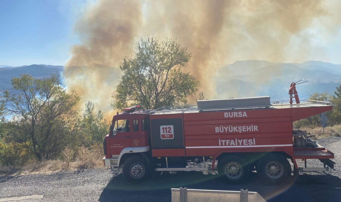 Bursa Büyükşehir Belediyesi itfaiye teşkilatı, Mayıs ve Haziran aylarında 2