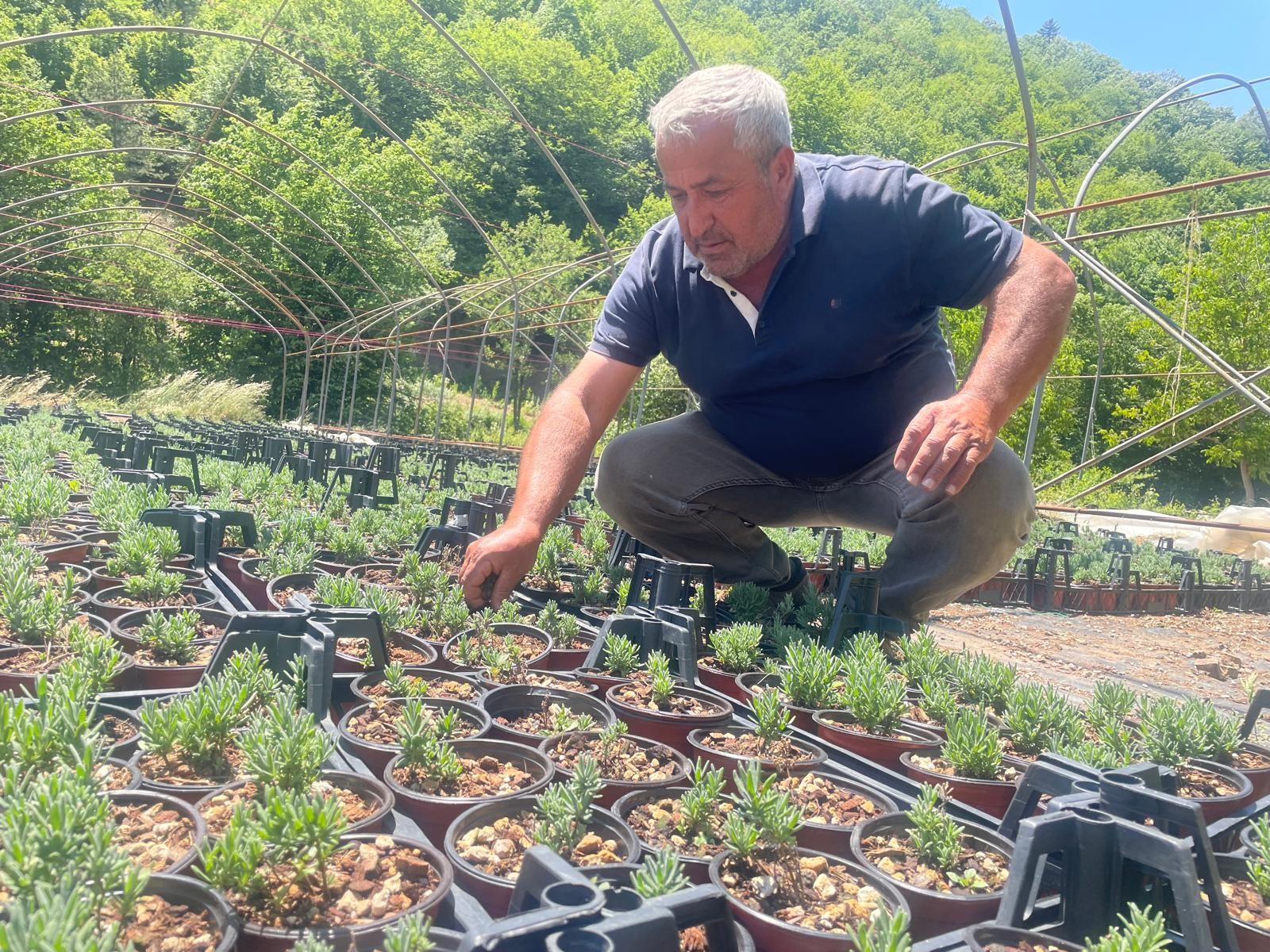 Bursa'nın Keles ilçesindeki Pınarcık Süs Bitkileri Tarımsal Kalkınma Kooperatifi, Uludağ