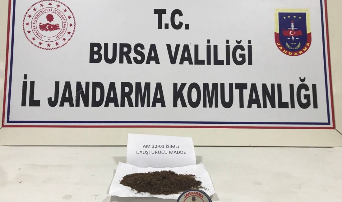 Bursa’nın İnegöl ilçesinde jandarma ekipleri, gerçekleştirdikleri devriye sırasında şüphelendikleri bir