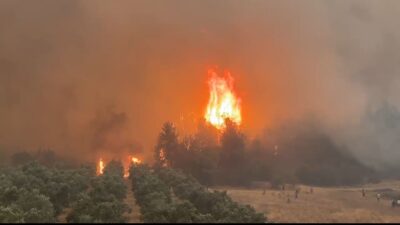 Bursa Orman Bölge Müdürlüğü, orman yangını konusunda uyarıda bulundu.
