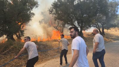 Bursa’nın Orhangazi ilçesinde bir zeytinlikte çıkan yangın paniğe sebep oldu.