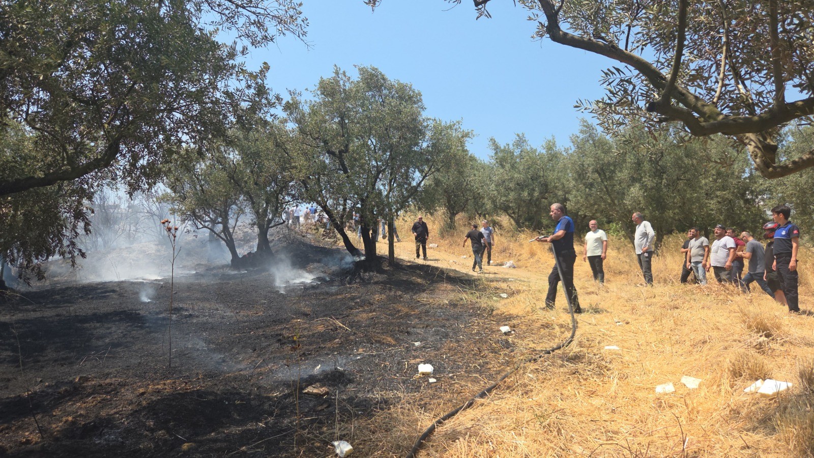 Bursam Medya -