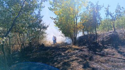 Bursa'nın İnegöl ilçesinde çıkan orman yangını, ekiplerin ve vatandaşların müdahalesiyle