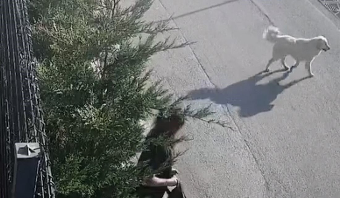 Bursa'da sabah işe gitmek üzere yola çıkan genç kadın, sokak