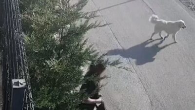 Bursa'da sabah işe gitmek üzere yola çıkan genç kadın, sokak