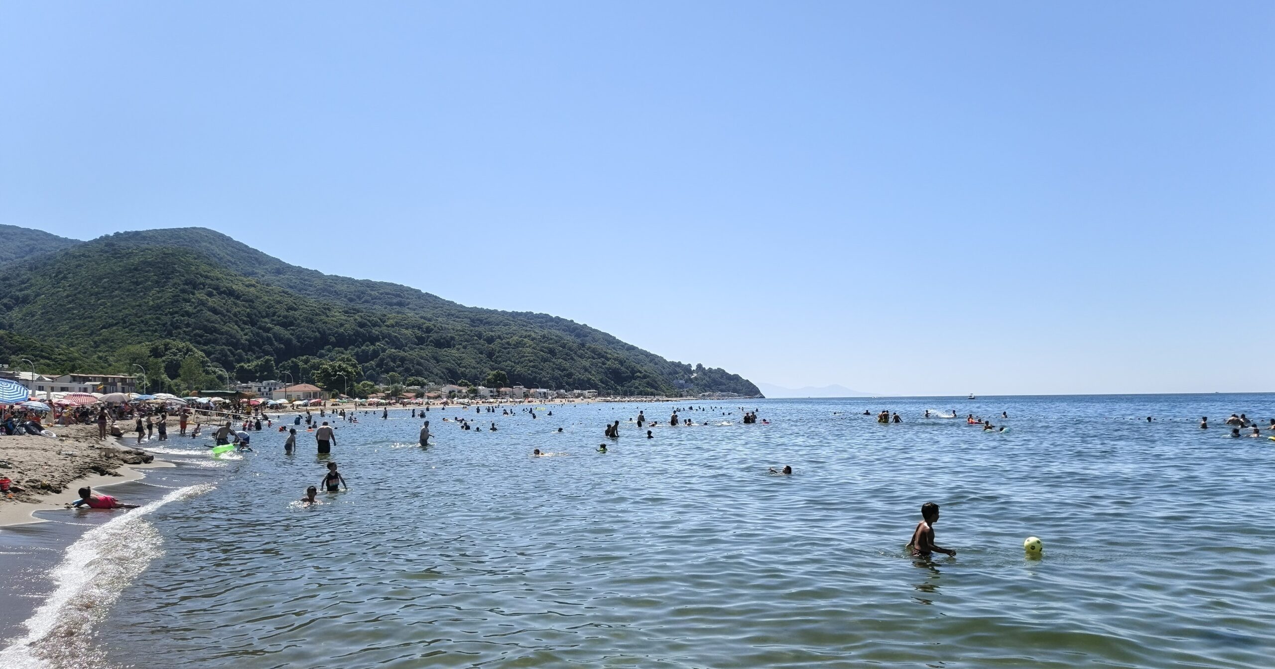 Bursam Medya -