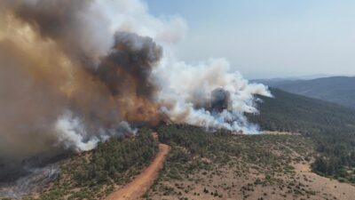 Aile ve Sosyal Hizmetler Bakanı Mahinur Özdemir Göktaş, Bursa, Eskişehir