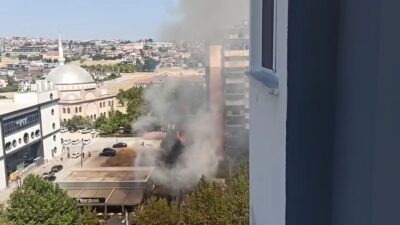 Bursa'nın merkezinde bir kafenin bulunduğu alandaki ağaçların alev alması, korku
