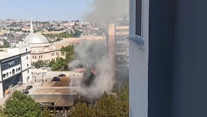 Bursa'nın merkezinde bir kafenin bulunduğu alandaki ağaçların alev alması, korku