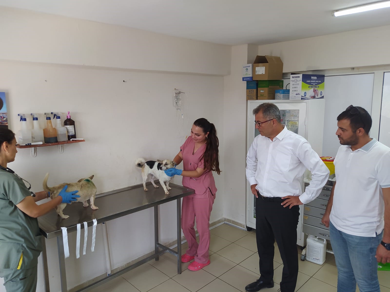 Bursam Medya -