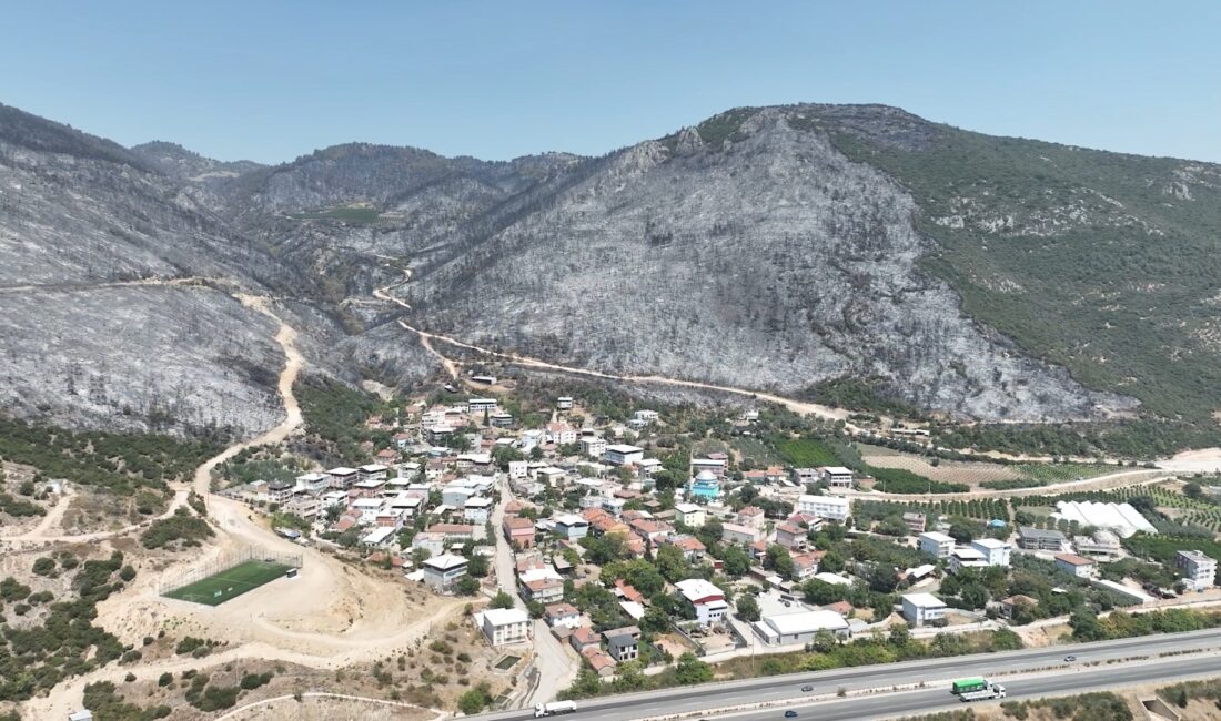 Bursa'nın ciğerlerini yakıp kavuran orman yangınlarından geriye karanlık ve sessizlik