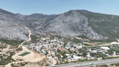 Bursa'nın ciğerlerini yakıp kavuran orman yangınlarından geriye karanlık ve sessizlik
