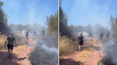 Bursa'nın Gemlik ilçesi Kurşunlu Mahallesi'nde dün öğle saatlerinde ormanlık alanda