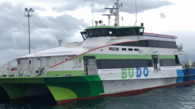 Bursa Ulaşım Toplu Taşıma İşletmeciliği (BURULAŞ), Bursa ile İstanbul arasında