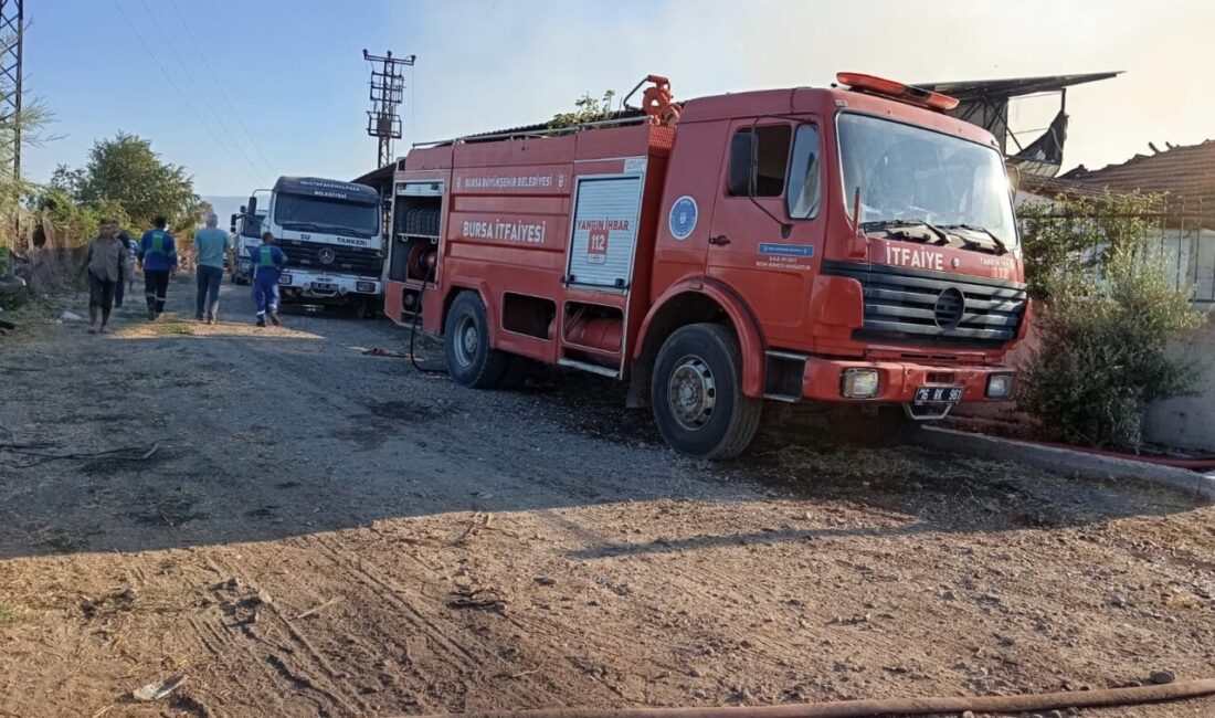 Bursa’nın Mustafakemalpaşa ilçesinde bir et üretim çiftliğinde çıkan yangın kısa