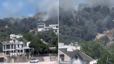 Bursa'nın Mudanya ilçesinde ağaçlık alandan yükselen alevler, sahilde denize girenlerin