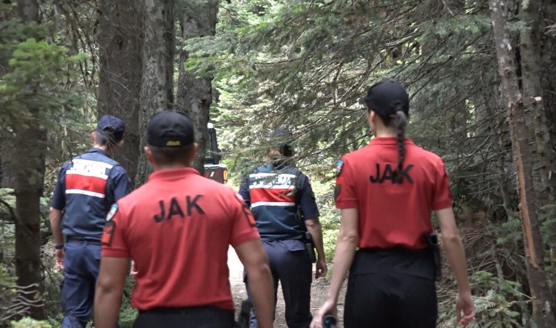 Bursa'da Gürsu-Kestel ve Harmancık-Orhaneli yangınlarıyla herkesin ciğerleri yanarken, bir daha