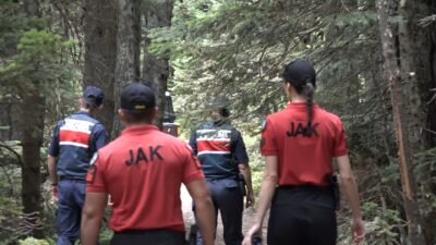 Bursa'da Gürsu-Kestel ve Harmancık-Orhaneli yangınlarıyla herkesin ciğerleri yanarken, bir daha