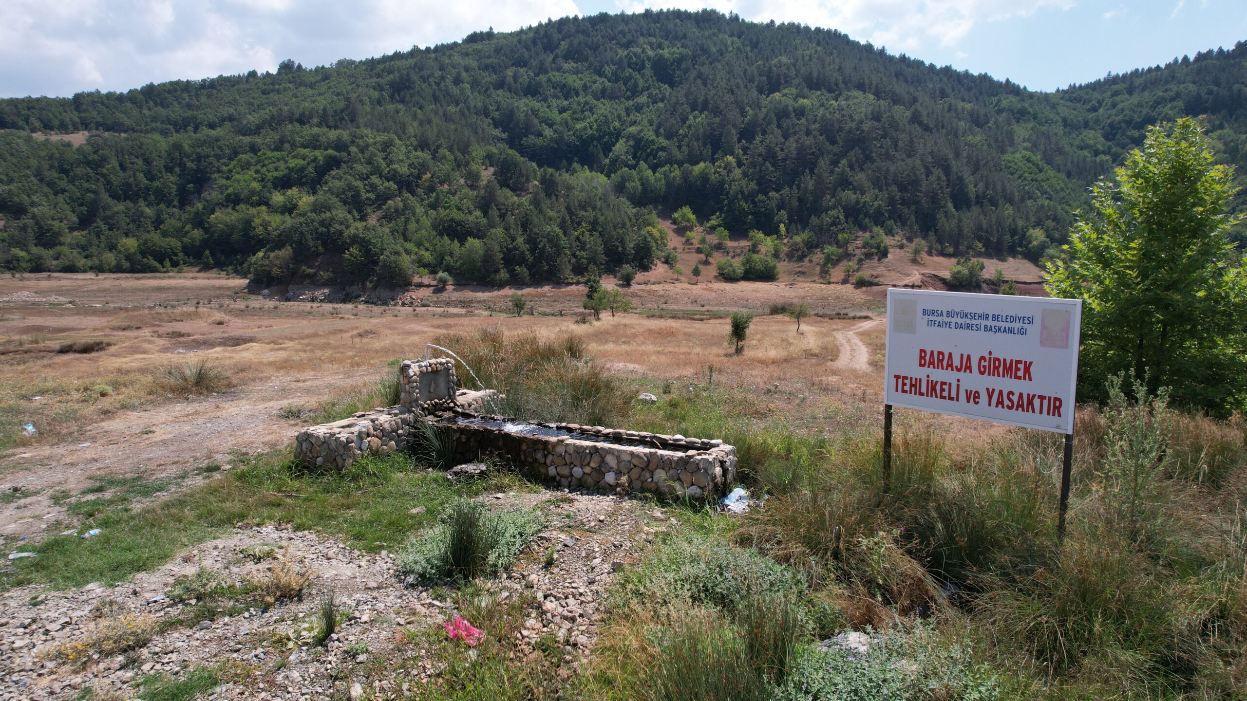 Bursam Medya -