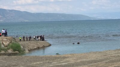 İznik Gölü Orhangazi sahilindeki ailesi ile birlikte pikniğe gelen ve