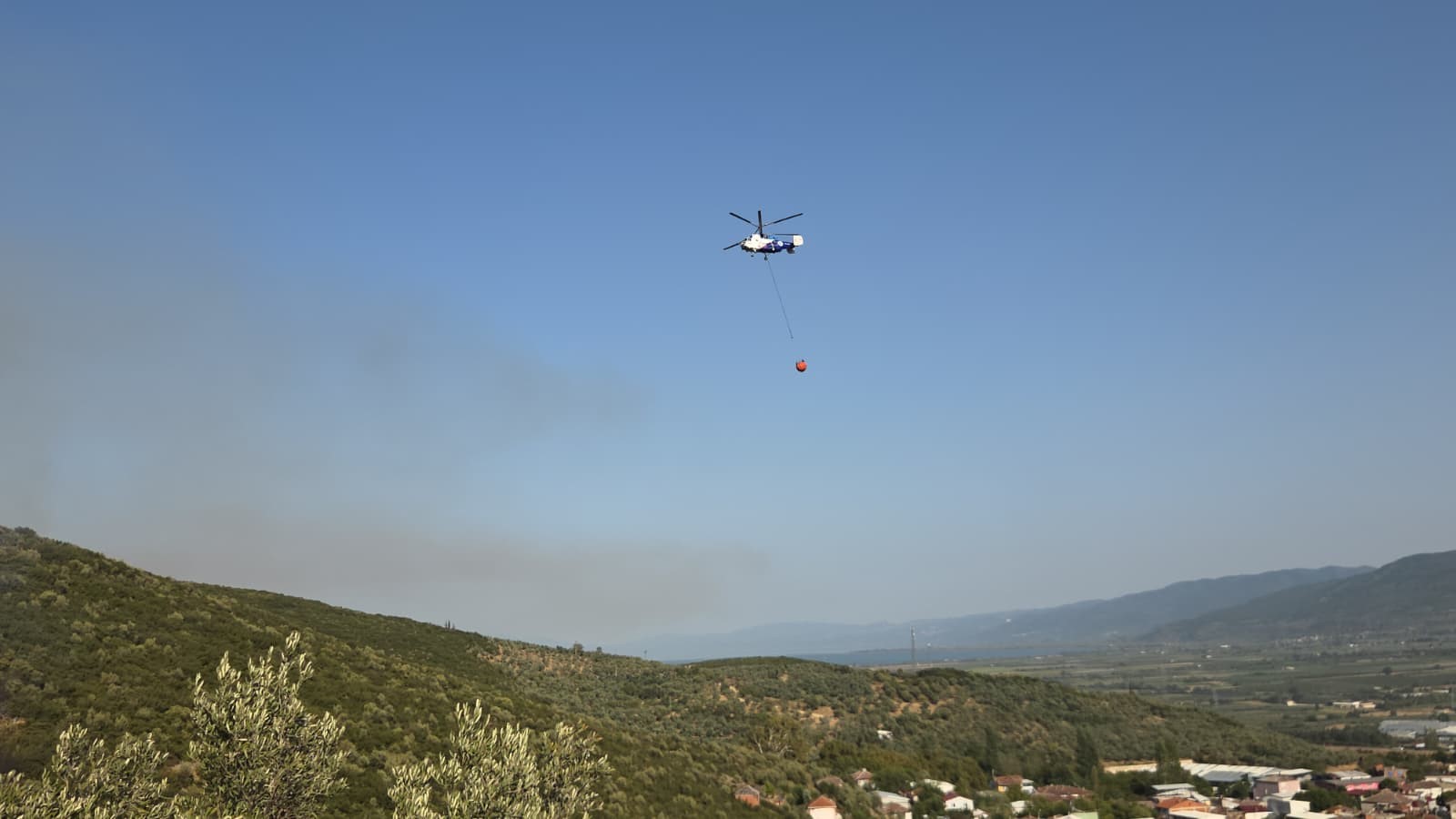 Bursam Medya -