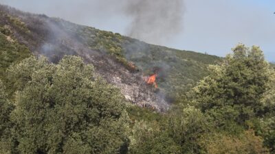 Bursa’nın Orhangazi ilçesine bağlı Gedelek Mahallesi’nde çıkan orman yangınına havadan