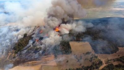 Bursa’nın Yenişehir ilçesi Fethiye Mahallesi’nde çıkan orman yangını, rüzgarın etkisiyle