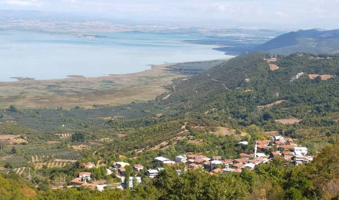 Onaç Mahallesi'nin tarımsal zenginliği, incir, zeytin, defne ve orman ürünleriyle