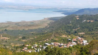 Onaç Mahallesi'nin tarımsal zenginliği, incir, zeytin, defne ve orman ürünleriyle