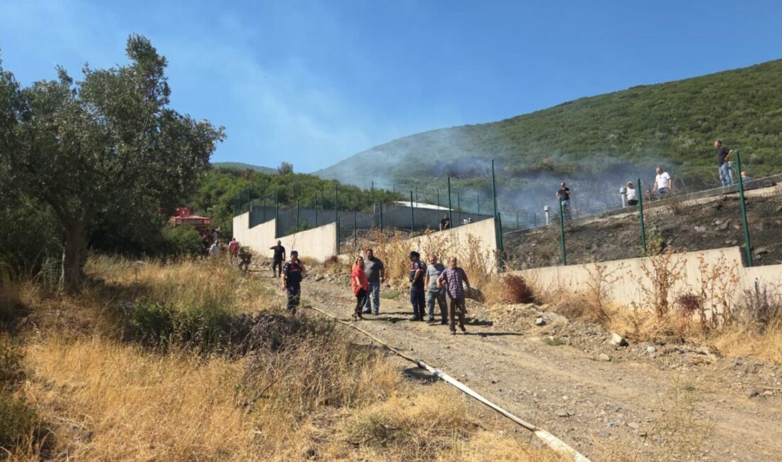 Bursa’nın Orhangazi ilçesinde makilik alanda yangın çıktı. Yangına karadan ve