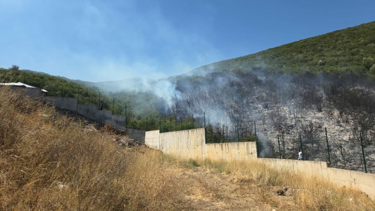 Bursam Medya -
