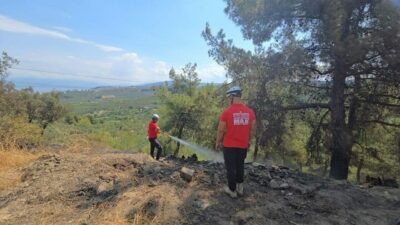 Bursa’nın Mudanya ilçesindeki ormanlık alanda çıkan yangın, itfaiye ekiplerince söndürüldü.