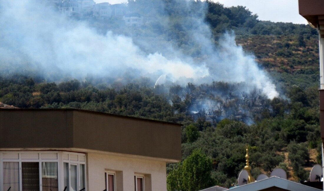Mudanya’nın Halitpaşa Mahallesi Çepni yolu üzerinde çıkan yangında yaklaşık 3