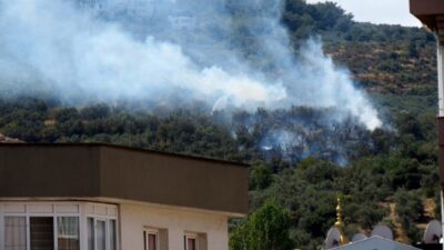 Mudanya’nın Halitpaşa Mahallesi Çepni yolu üzerinde çıkan yangında yaklaşık 3