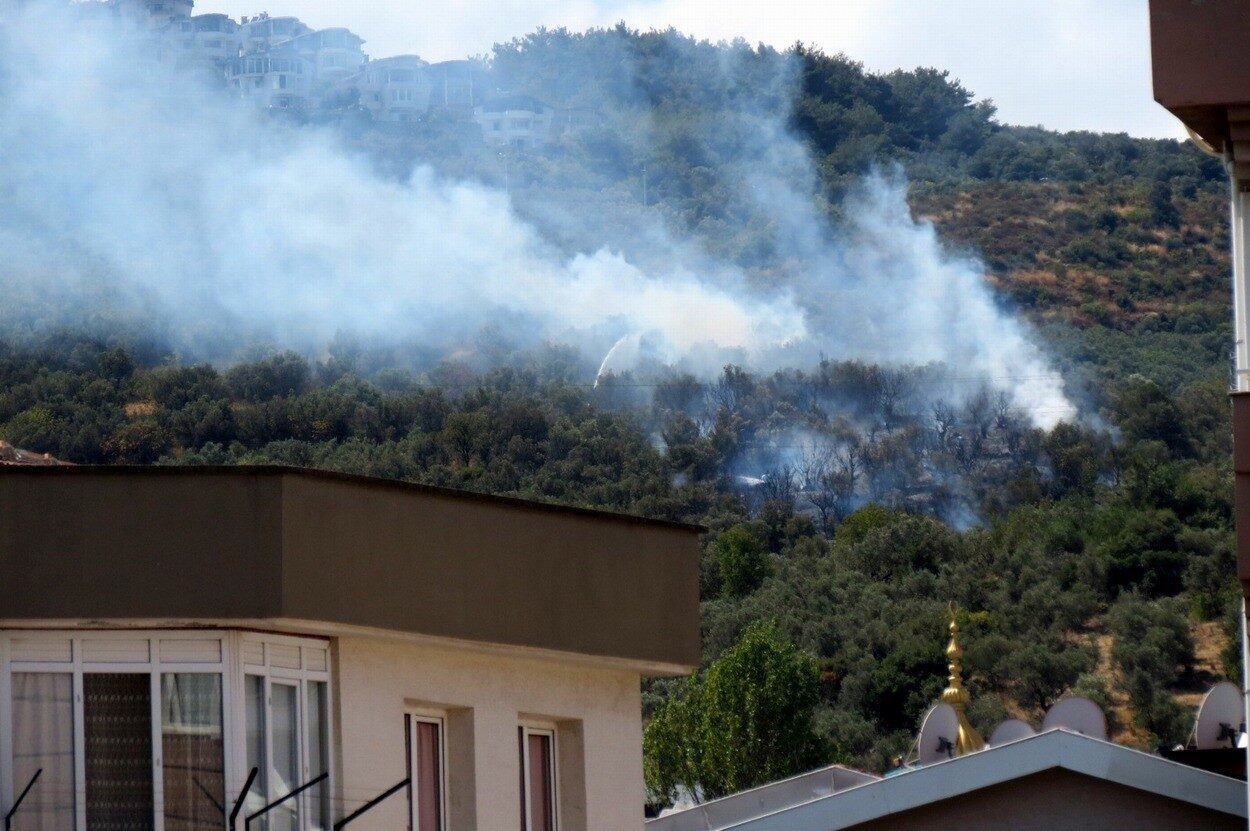 Mudanya’nın Halitpaşa Mahallesi Çepni yolu üzerinde çıkan yangında yaklaşık 3
